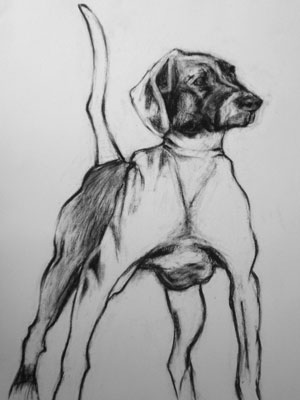 pointer